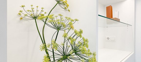 Офис 22м² в Брегенц, Австрия № 64994 11