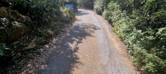 7-Zimmer Villa in Vezzi Portio, Italy, Nr. 154728 7