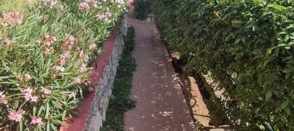 7-Zimmer Villa in Vezzi Portio, Italy, Nr. 154728 14