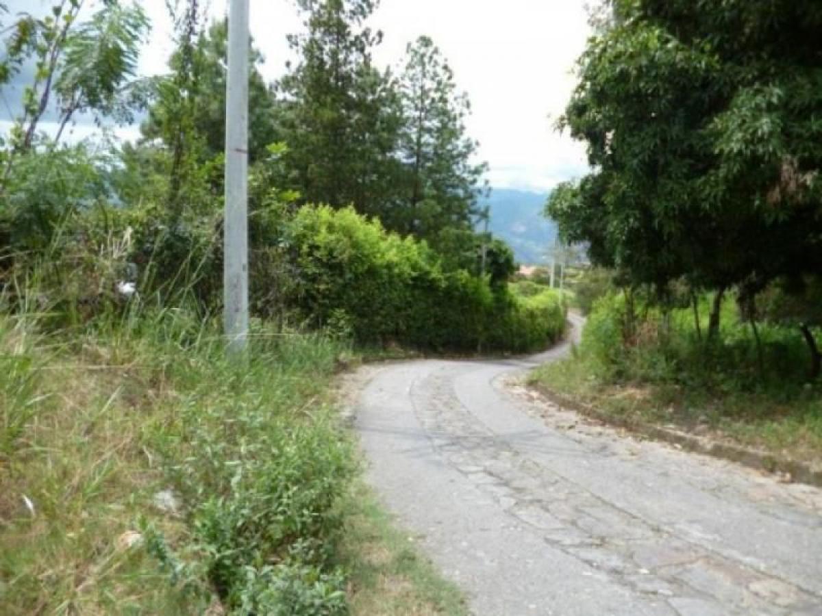 5 bedrooms House in Cundinamarca, Colombia No. 1817