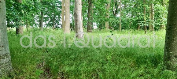 Grundstück in Vorpommern-Rügen, Germany, Nr. 150714 5