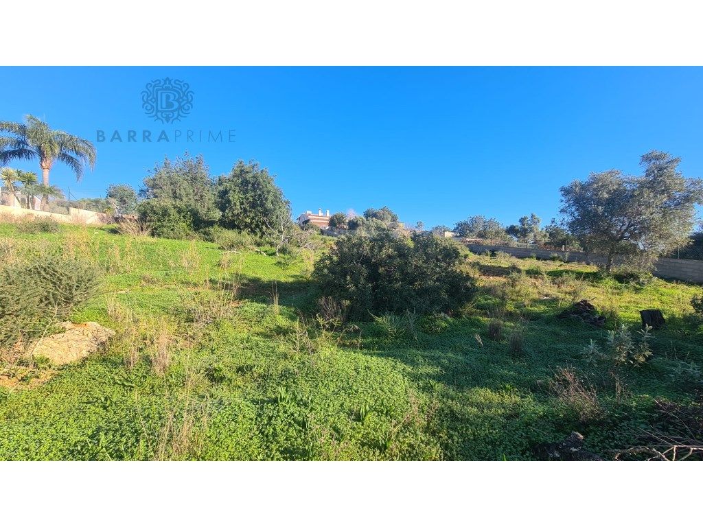  قطعة أرض في Pechao, Portugal 4080متر مربع رقم 208590