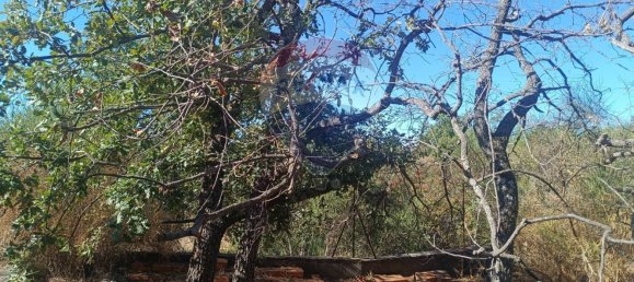  Land in Belpasso, Italy No. 337611 26