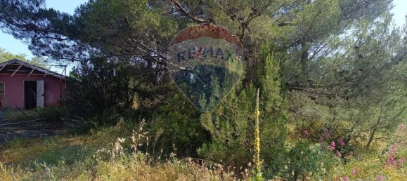  Land in Belpasso, Italy No. 337611 18