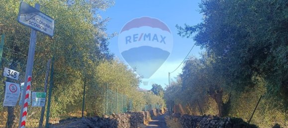  Land in Belpasso, Italy No. 337611 6