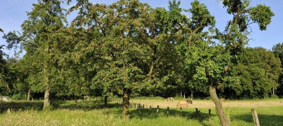 20-Zimmer Bauernhof in Viersen, Germany, Nr. 131100 2