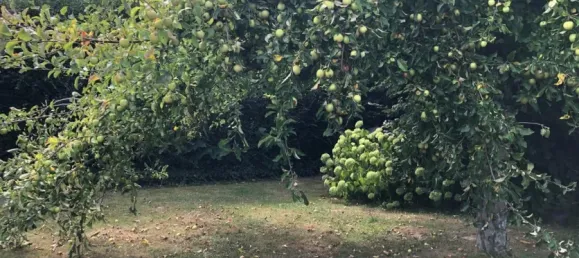 5 bedrooms House in Schaumburg, Germany No. 366584 26