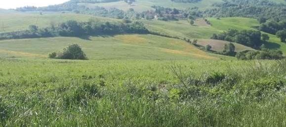 Gewerbliche Immobilie in Urbino, Italy 210797m², Nr. 362621 11