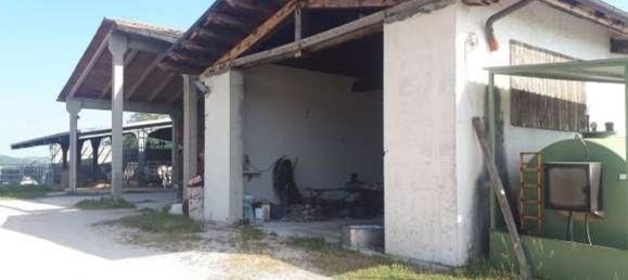 Gewerbliche Immobilie in Urbino, Italy 210797m², Nr. 362621 3