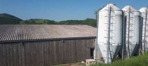 Gewerbliche Immobilie in Urbino, Italy 210797m², Nr. 362621 4