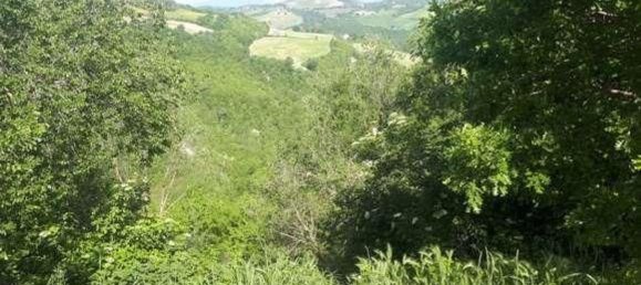 Gewerbliche Immobilie in Urbino, Italy 210797m², Nr. 362621 12