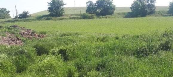 Gewerbliche Immobilie in Urbino, Italy 210797m², Nr. 362621 10