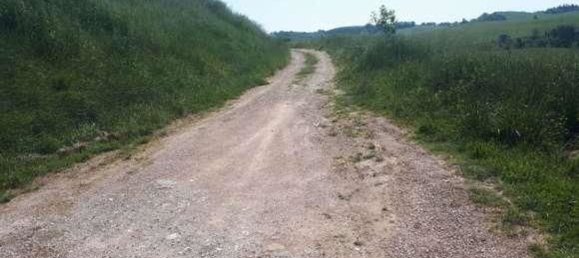 Gewerbliche Immobilie in Urbino, Italy 210797m², Nr. 362621 15