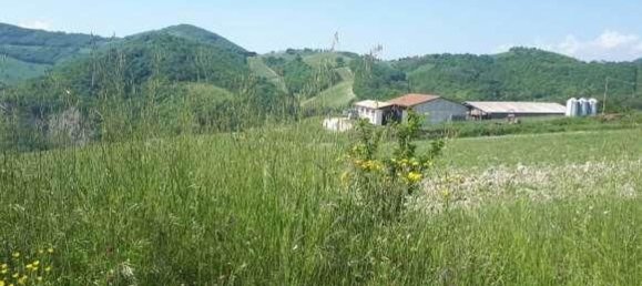 Gewerbliche Immobilie in Urbino, Italy 210797m², Nr. 362621 14