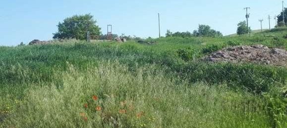 Gewerbliche Immobilie in Urbino, Italy 210797m², Nr. 362621 9