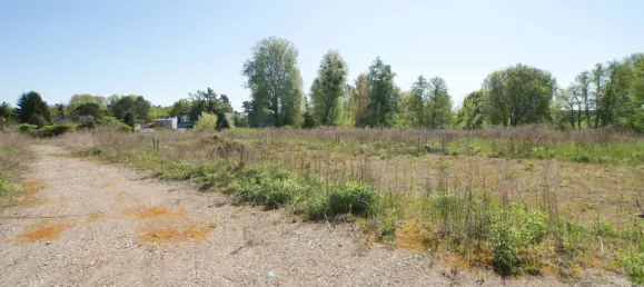  Land in Markisch-Oderland, Germany No. 241112 3