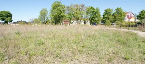  Land in Markisch-Oderland, Germany No. 241112 4