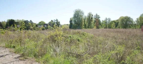  Land in Markisch-Oderland, Germany No. 241112 8