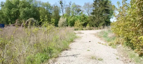  Land in Markisch-Oderland, Germany No. 241112 12