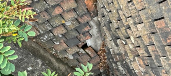 Adosado de 6 dormitorios en Salzlandkreis, Germany No. 219382 17