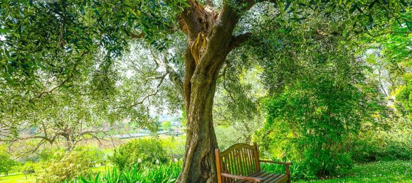 8 bedrooms House in Longiano, Italy No. 328527 20