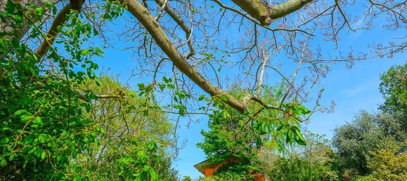 8 bedrooms House in Longiano, Italy No. 328527 22