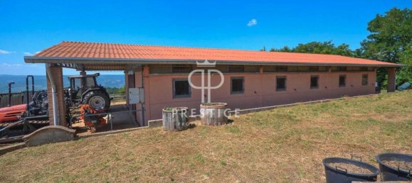 10 bedrooms Castles in Ficulle, Italy No. 135470 33