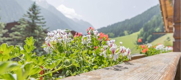 Hotel en Neustift im Stubaital, Austria No. 161637 10