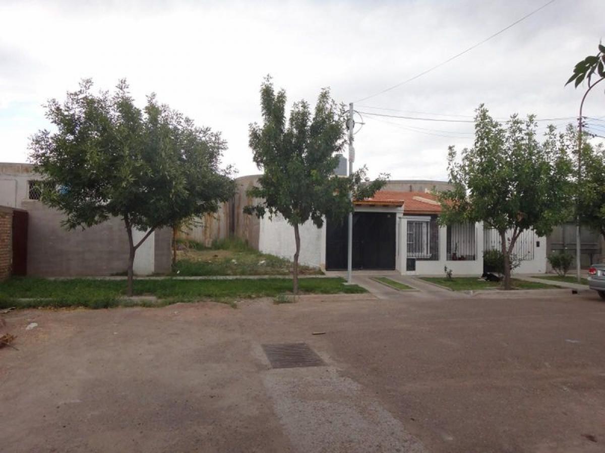 1 bedroom Land in Mendoza, Argentina No. 41189