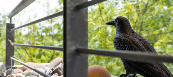 2 bedrooms Duplex in Mainz, Germany No. 275477 4