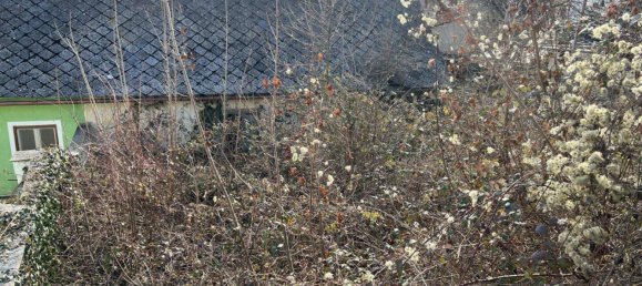 447m² Land in Wollersdorf-Steinabruckl, Austria No. 158615 2