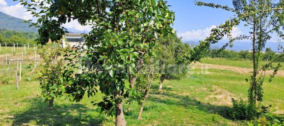 2 chambres Villa à Bagnolo Piemonte, Italy No. 268592 12