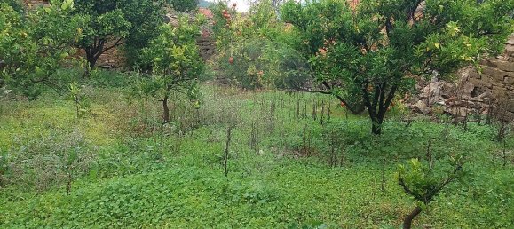 3 Schlafzimmer Haus in Sarzedas, Portugal, Nr. 31391 5