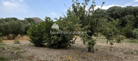 4 bedrooms House in Jaen, Spain No. 152888 47