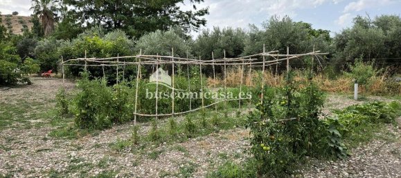 4 bedrooms House in Jaen, Spain No. 152888 46