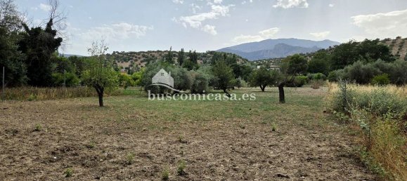 4 bedrooms House in Jaen, Spain No. 152888 48