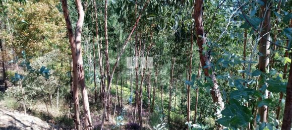 14000m² Land in Baiao, Portugal No. 59377 6