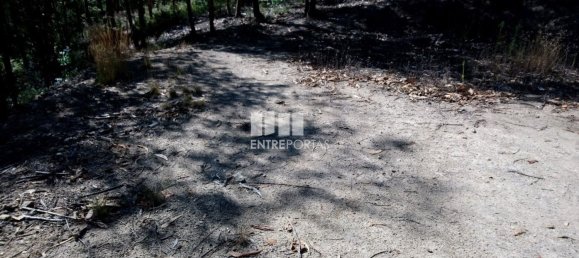 14000m² Land in Baiao, Portugal No. 59377 8