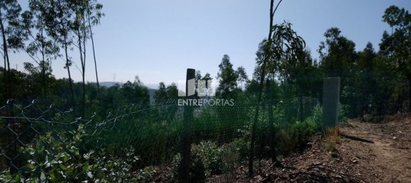 14000m² Land in Baiao, Portugal No. 59377 2