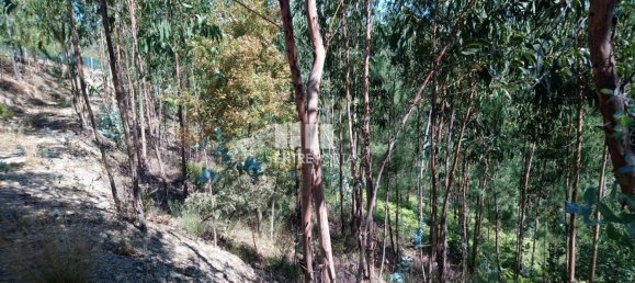 14000m² Land in Baiao, Portugal No. 59377 5