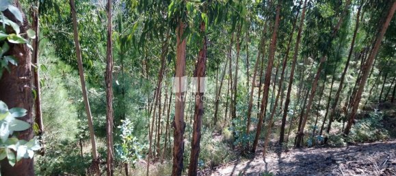 14000m² Land in Baiao, Portugal No. 59377 7