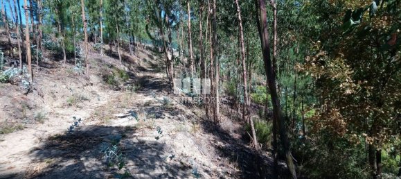 14000m² Land in Baiao, Portugal No. 59377 4