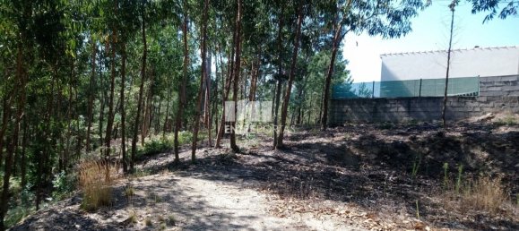 14000m² Land in Baiao, Portugal No. 59377 10