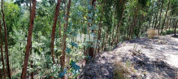 14000m² Land in Baiao, Portugal No. 59377 12