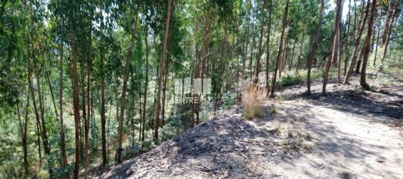 14000m² Land in Baiao, Portugal No. 59377 9