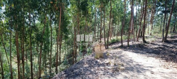 14000m² Land in Baiao, Portugal No. 59377 11