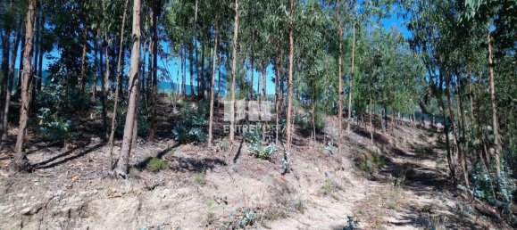 14000m² Land in Baiao, Portugal No. 59377 15