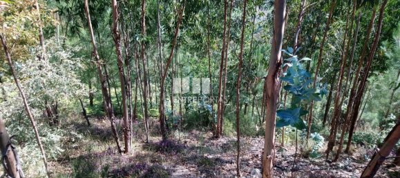 14000m² Land in Baiao, Portugal No. 59377 13