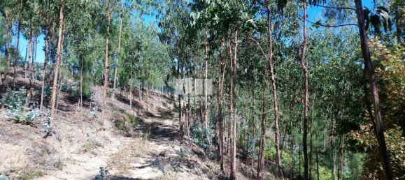 14000m² Land in Baiao, Portugal No. 59377 14