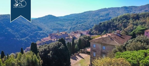 9 bedrooms Villa in Sassetta, Italy No. 331191 41